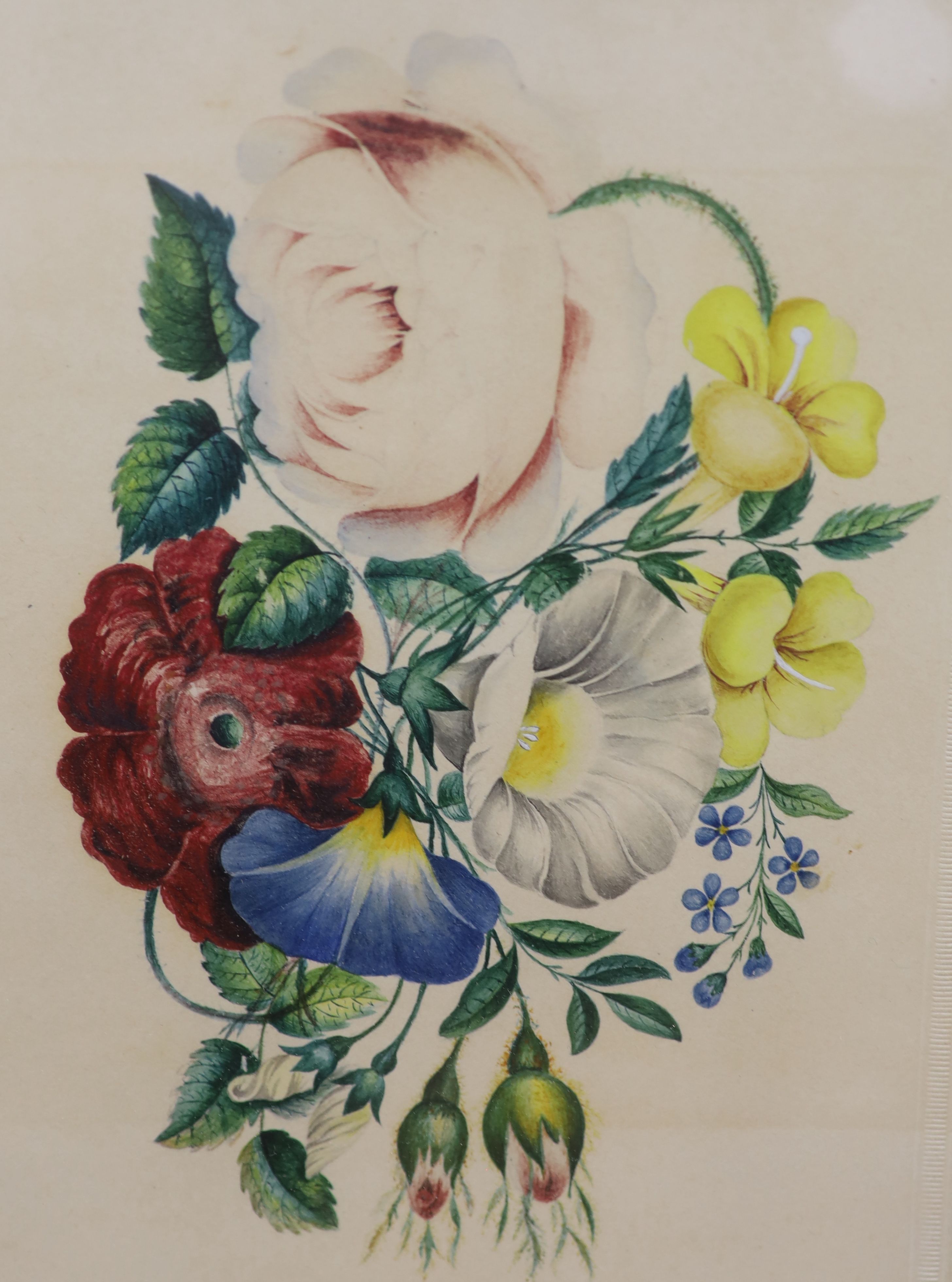 19th century English School, thirteen watercolours, mostly botanical studies but also including birds, one initialled M.y.F., largest 26 x 19cm